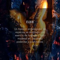 SAUVAGE ELIXIR  100ml-207267 SAUVAGE ELIXIR  100ml-207267 2